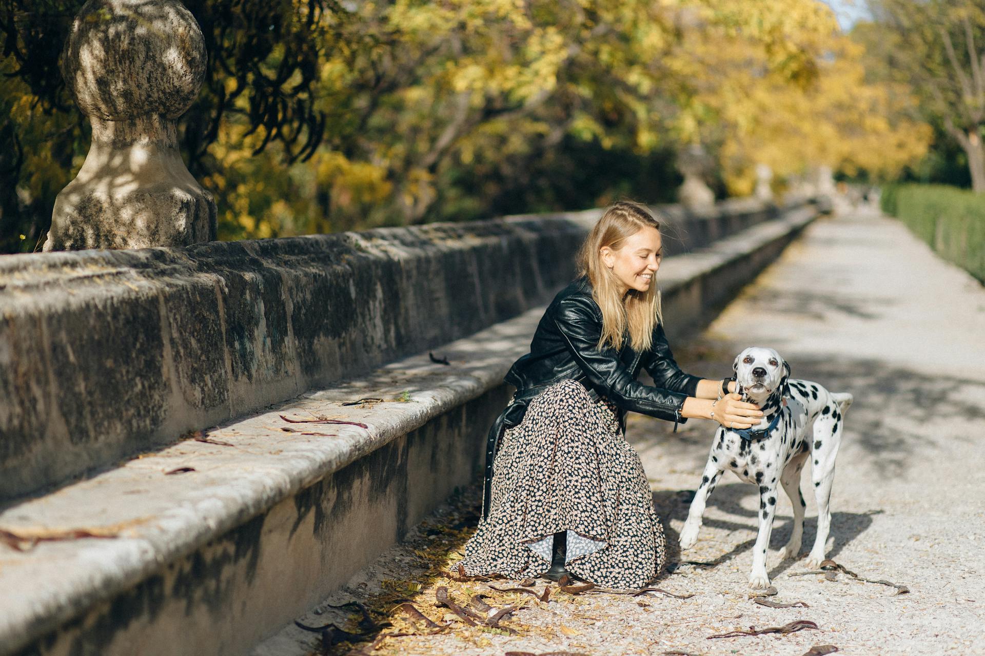 A Woman Petting a Dalmatian