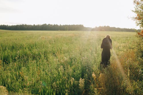 Person in Black Hoodie Standing on Green Grass Field