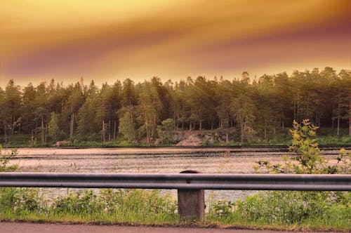 スウェーデン, フェンス, 日光の無料の写真素材