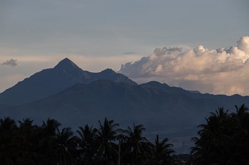Picturesque view of mountains with pointed peak near tree silhouettes under sky with clouds at sunset