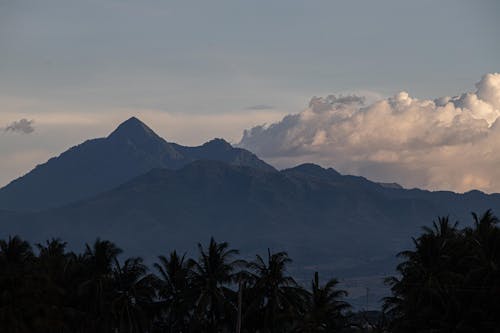 Free Picturesque view of mountains with pointed peak near tree silhouettes under sky with clouds at sunset Stock Photo