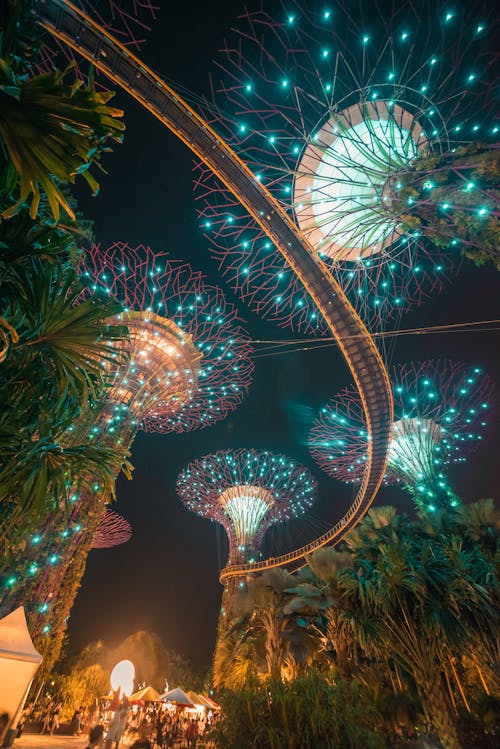 From below of palm trees with bright decorative lights on top in city park at night