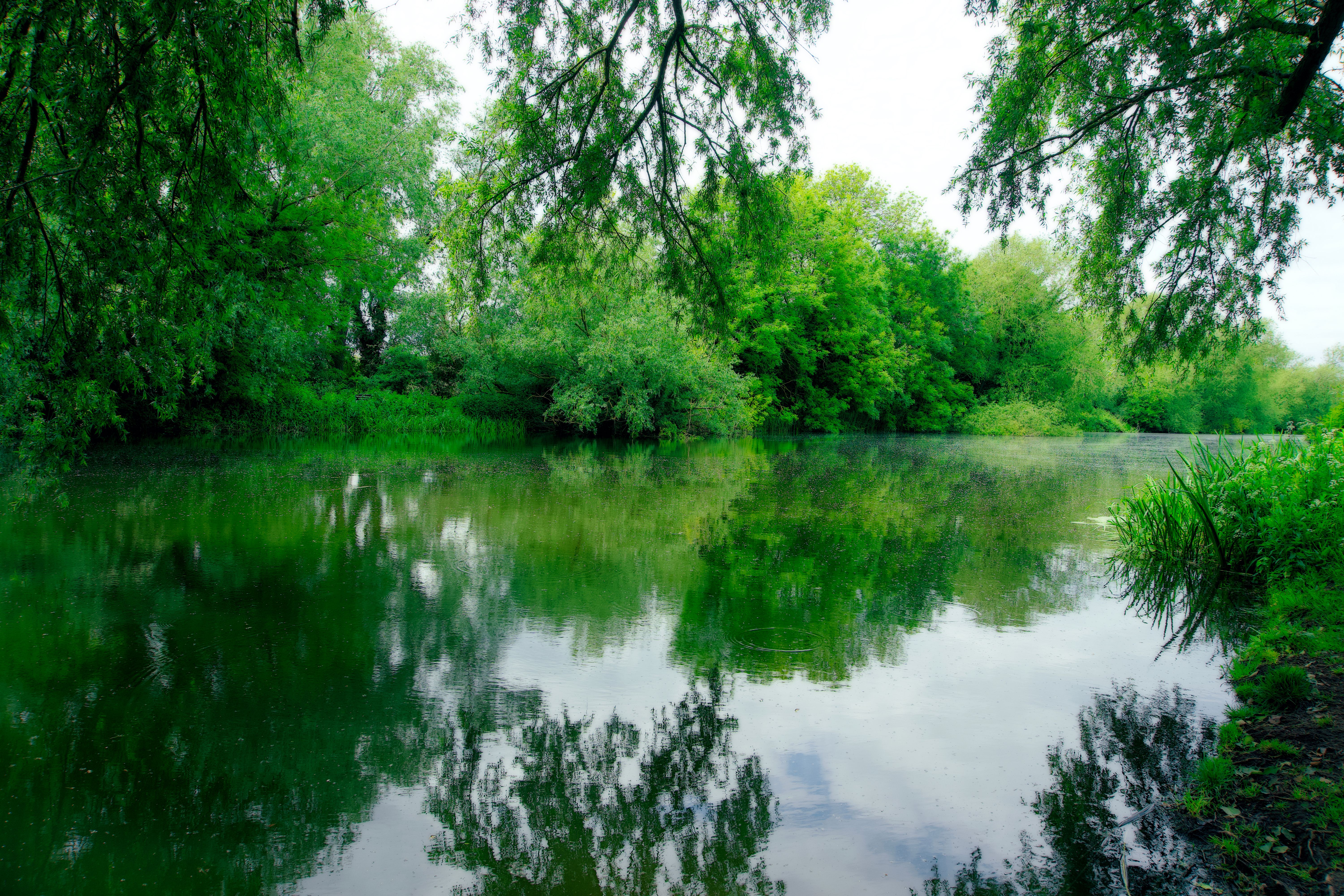 2 Day Mindfulness, Breathwork, Yoga & Qigong Retreat in the UK 1