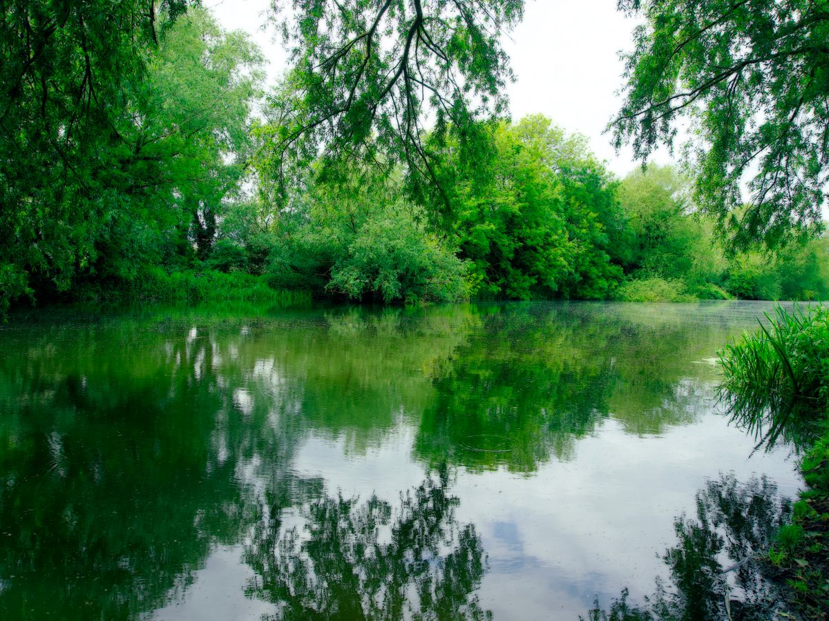 2 Day Mindfulness, Breathwork, Yoga & Qigong Retreat in the UK 1