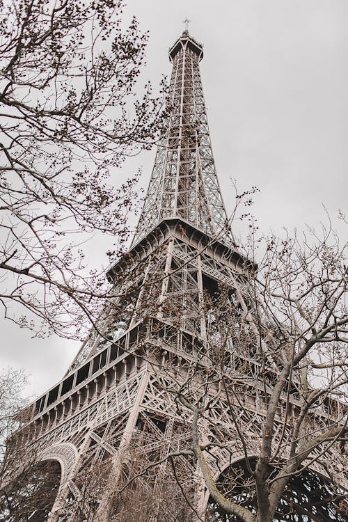 Trees Near Eiffel Tower Under the Sky