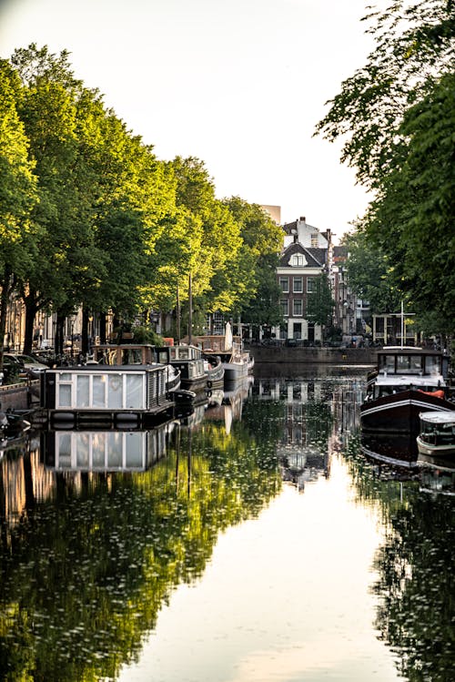 無料 アムステルダム, ウォータークラフト, オランダの無料の写真素材 写真素材