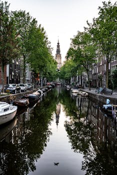 阿姆斯特丹运河宁静的景观中，停泊的船只、绿树与历史悠久的教堂倒影映在水中