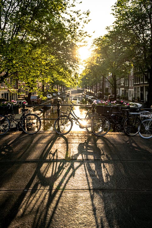 Ingyenes stockfotó Amszterdam, aranyóra, biciklik témában