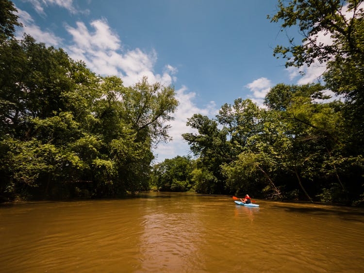 Unrecognizable Traveler On Motor Boat On Dirty River Between Trees