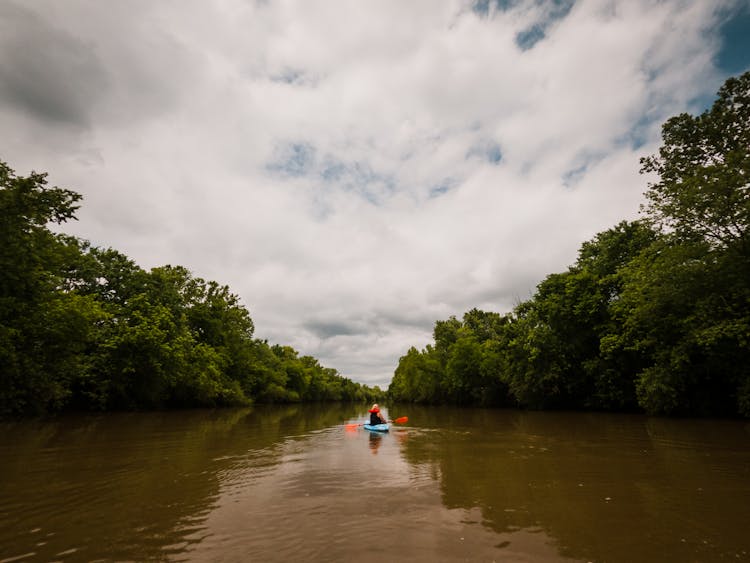 Anonymous Traveler Sailing On Motorized Boat On River Between Trees