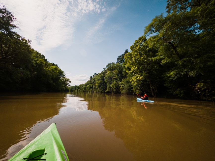 A kayak navigating a peaceful cypress swamp on the Cooper River - cooper river guided tours A kayak navigating a peaceful cypress swamp on the Cooper River - cooper river guided tours
