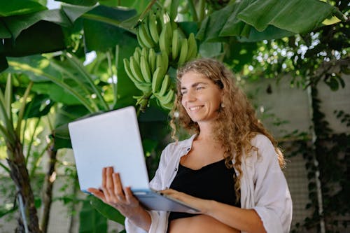 Gratis stockfoto met bananen, bananenplant, bedrijf