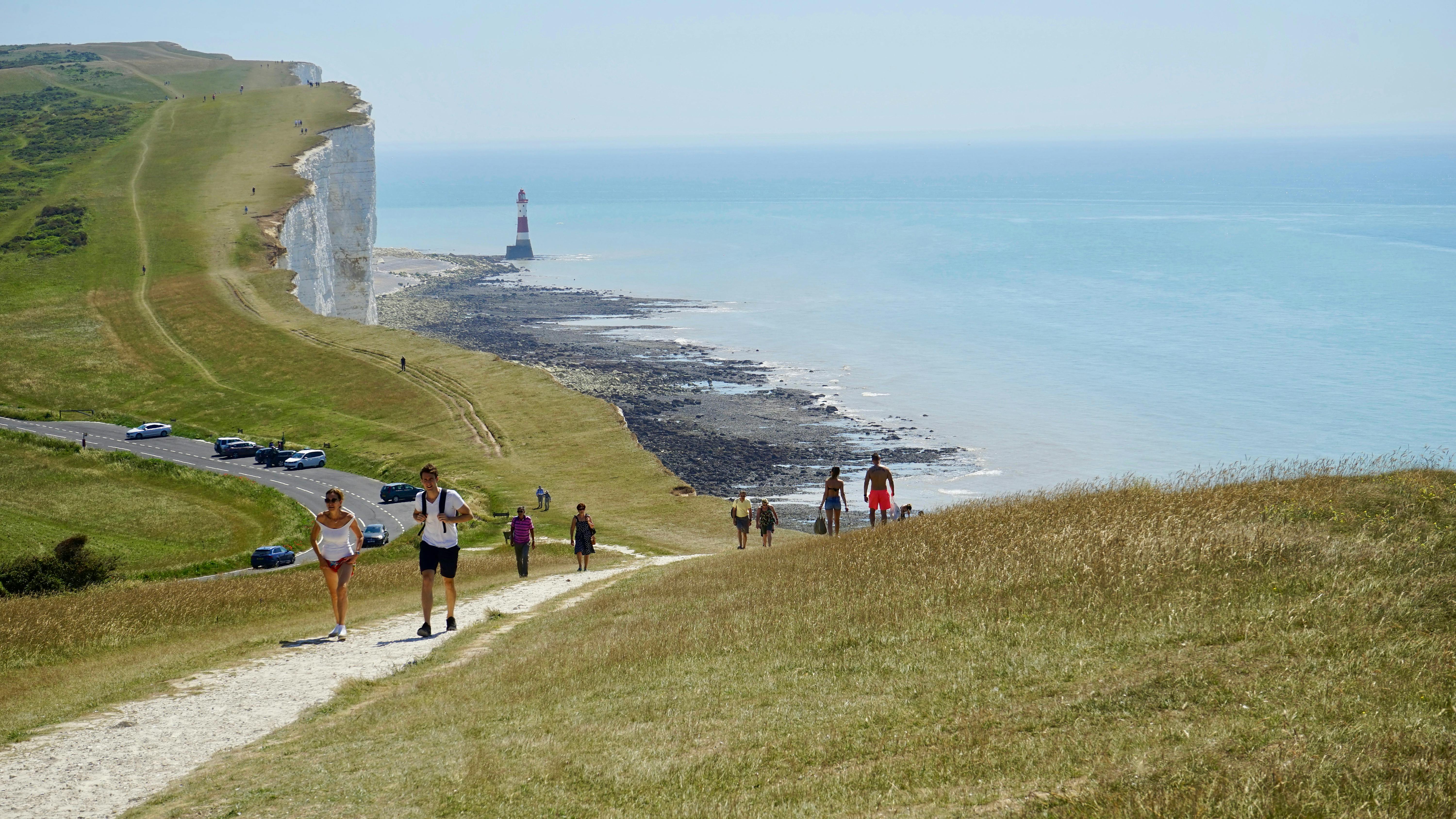 group of people walking on road surround by grass