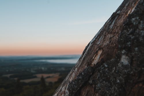 Free stock photo of blue sky, clouds, dorking