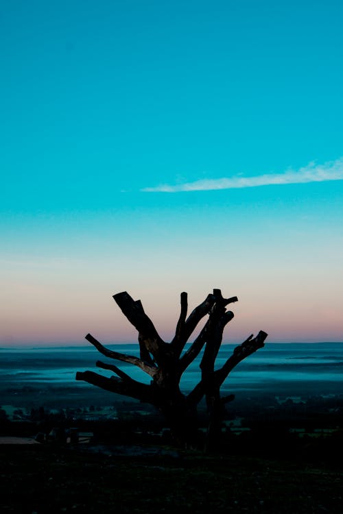 Free stock photo of beatiful sunrise, blue sky, clouds