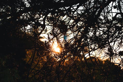 Free stock photo of blue sky, dorking, leith hill