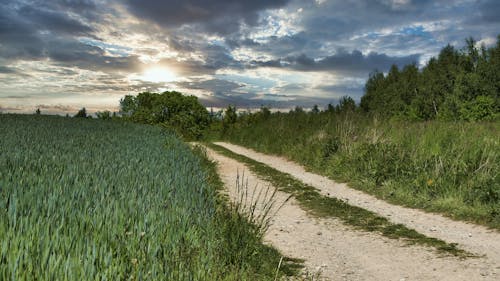 Základová fotografie zdarma na téma krajobraz, laka, niebo