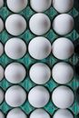 Top view composition of set of eggs placed in row in paper tray