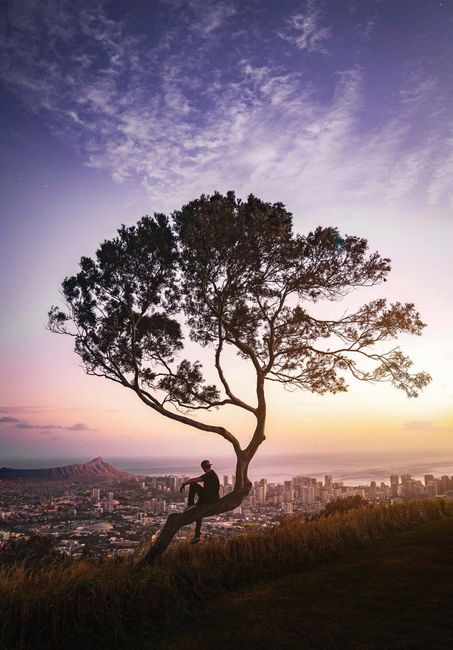 Person on a tree with Honolulu cityscape at sunset, highlighting Diamond Head.