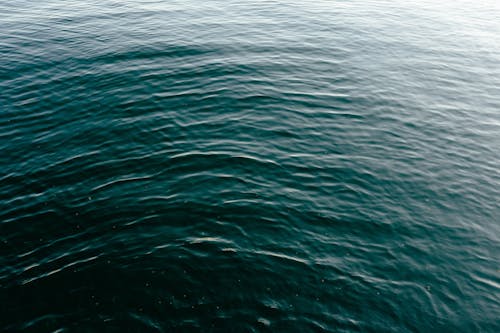 Fotos de stock gratuitas de agua, dice adiós, formar ondas