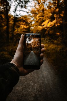 A person's hand holds a smartphone capturing a fall pathway in Bruchsal's forest.