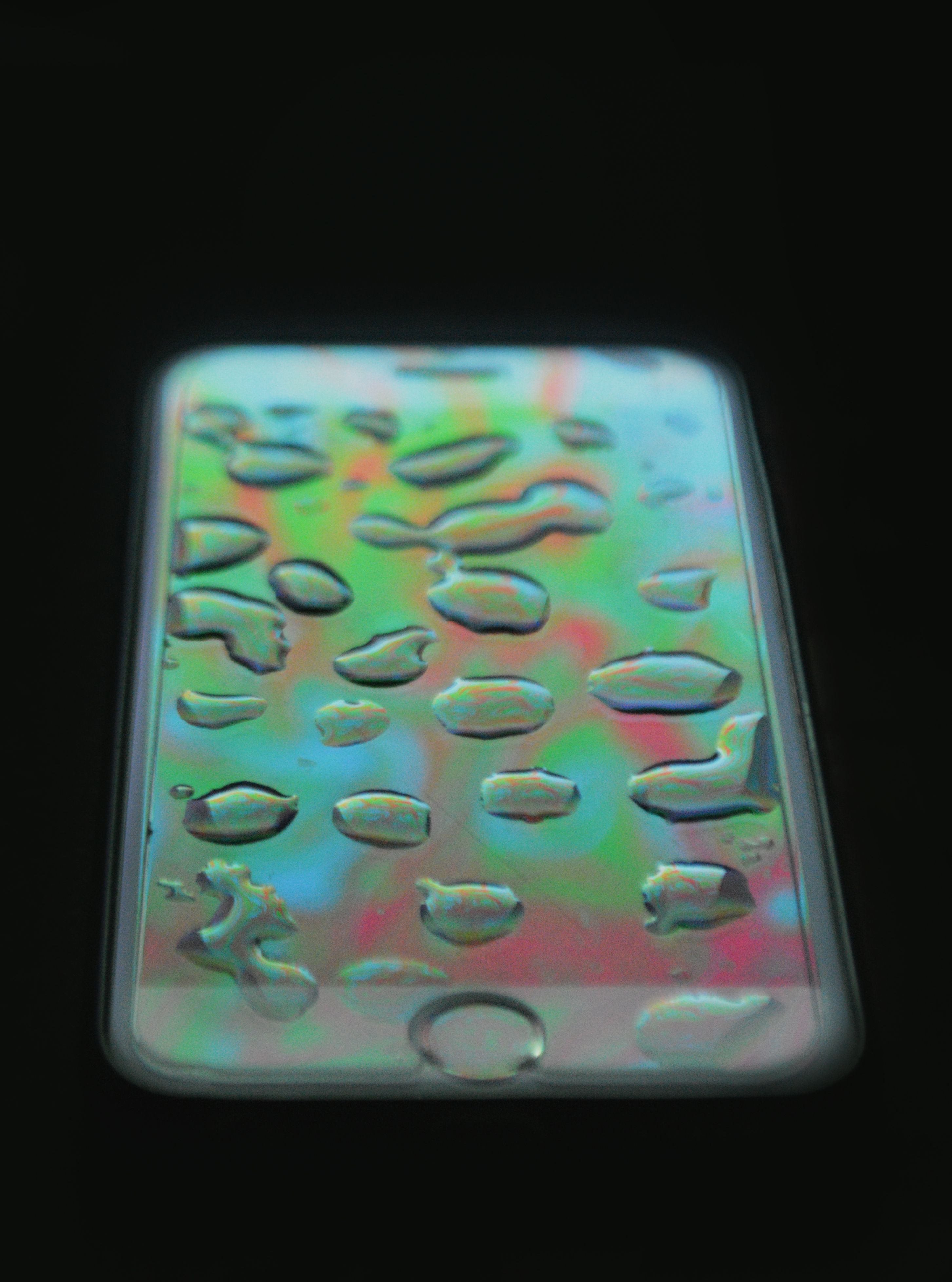 Hf f - Photography