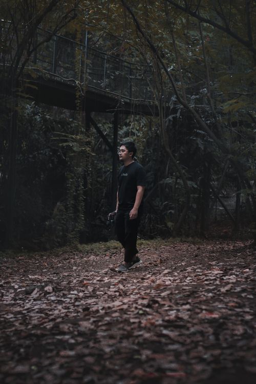 Free Side view full length male in black casual outfit walking on fallen leaves in mixed forest near wooden bridge Stock Photo