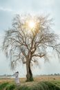 Anonymous women in white dresses near tall twiggy tree