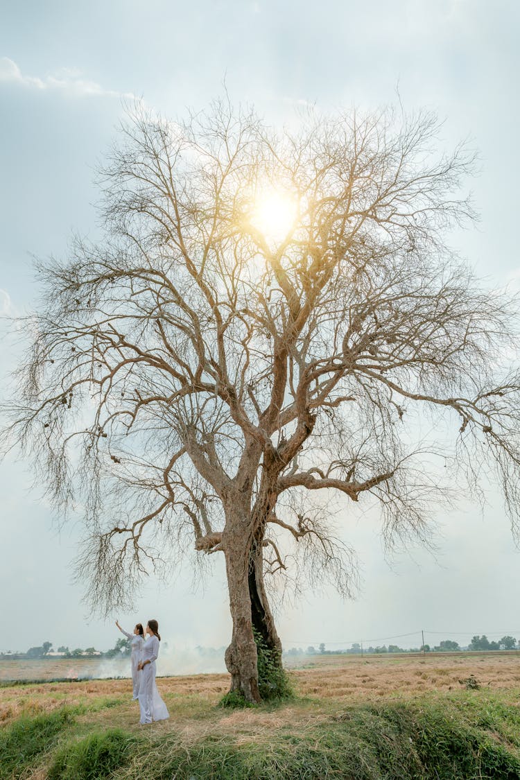 Anonymous Women In White Dresses Near Tall Twiggy Tree