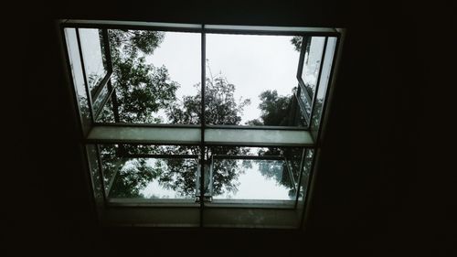 Free A calming view of trees through a skylight, offering a natural connection indoors. Stock Photo