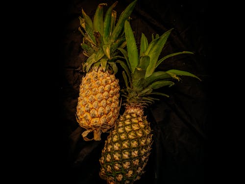 Foto profissional grátis de abacaxi, fotografia artística, frutas