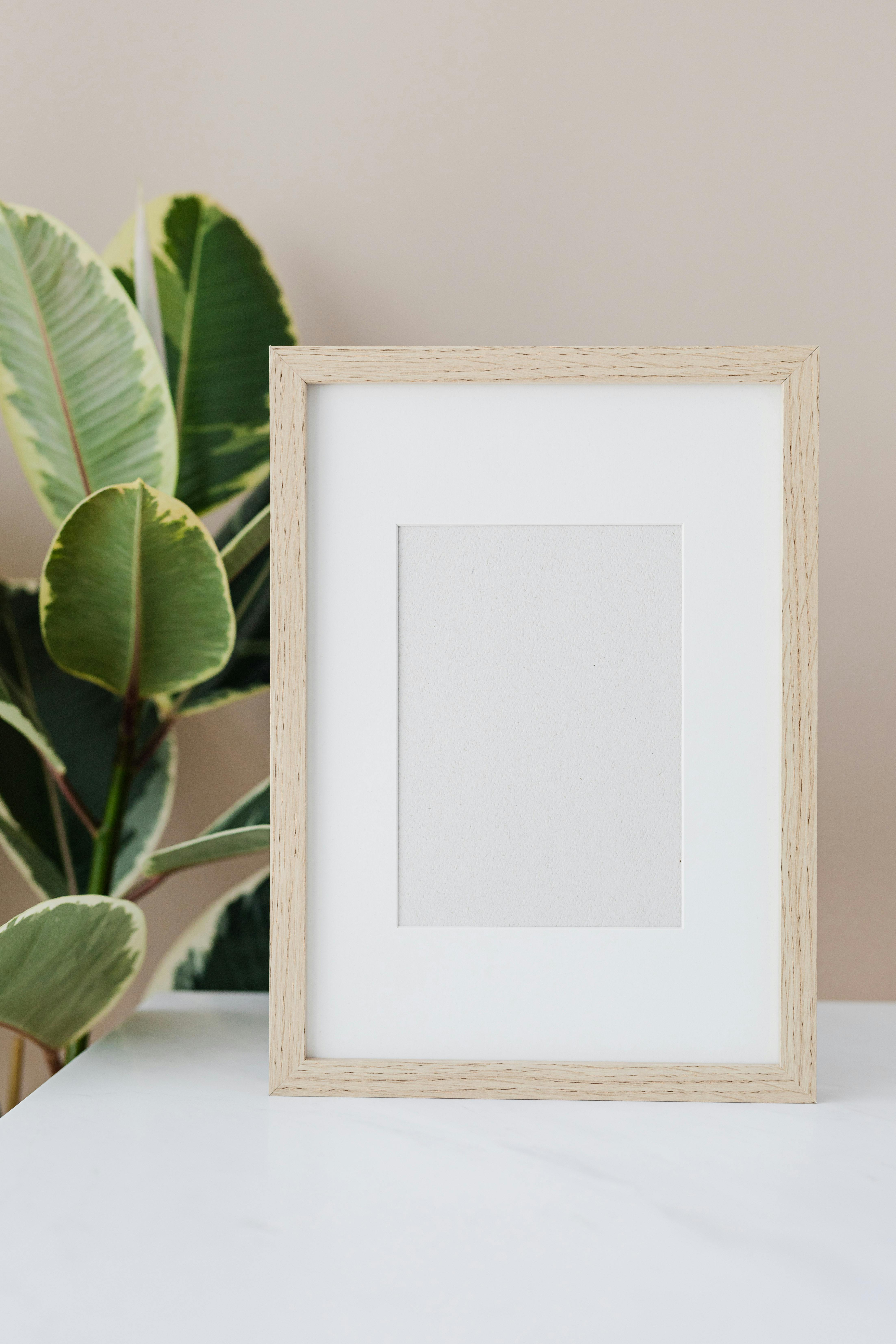 57,514 Picture Frame Stock Photos, High-Res Pictures, and Images - Getty  Images
