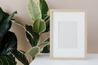 White Wooden Frame With Green Leaves