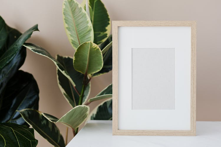 Empty Picture Frame Standing On Cabinet Next To House Plant