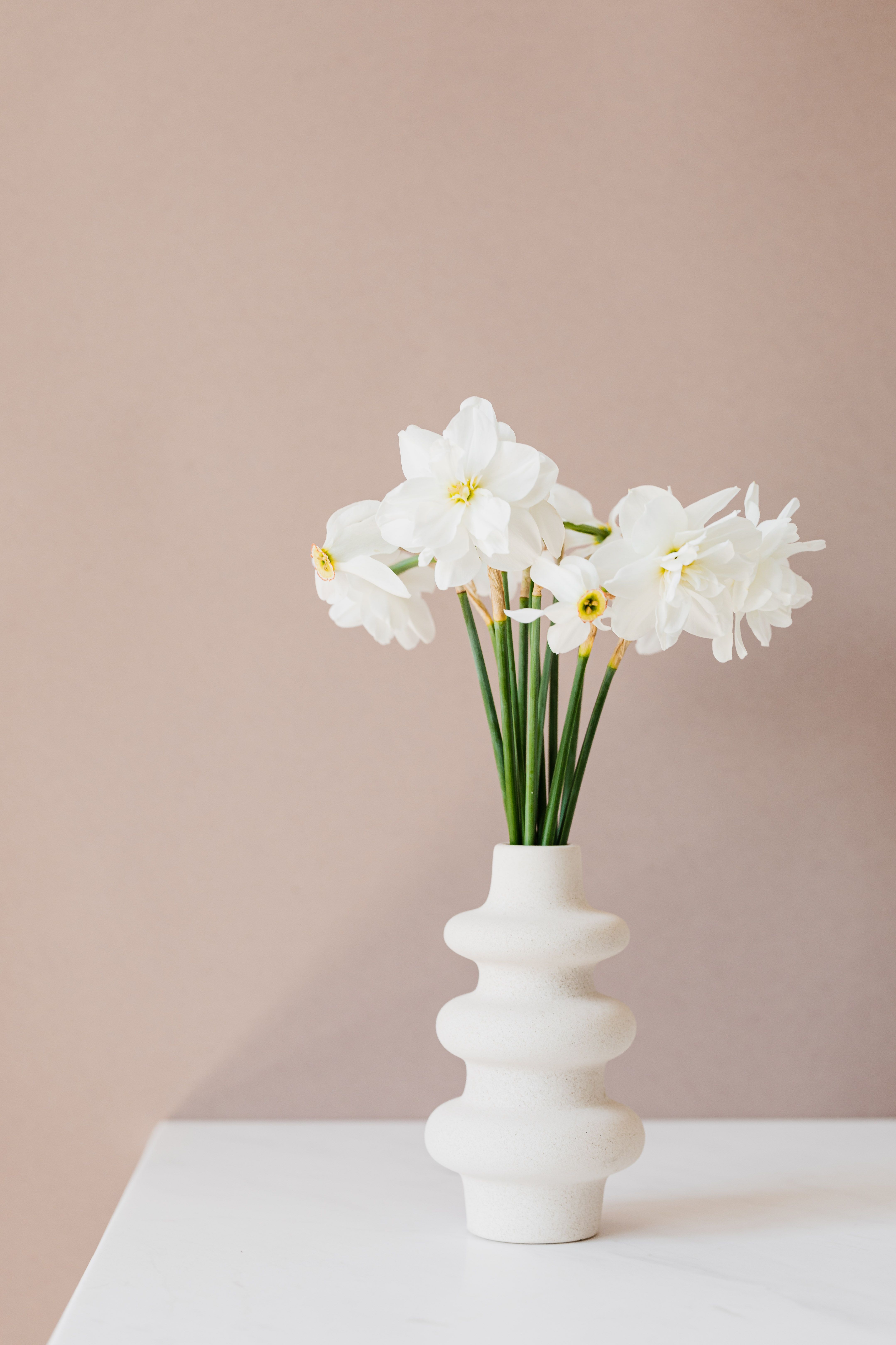 白色水仙花在现代花瓶中时尚排列，背景柔和