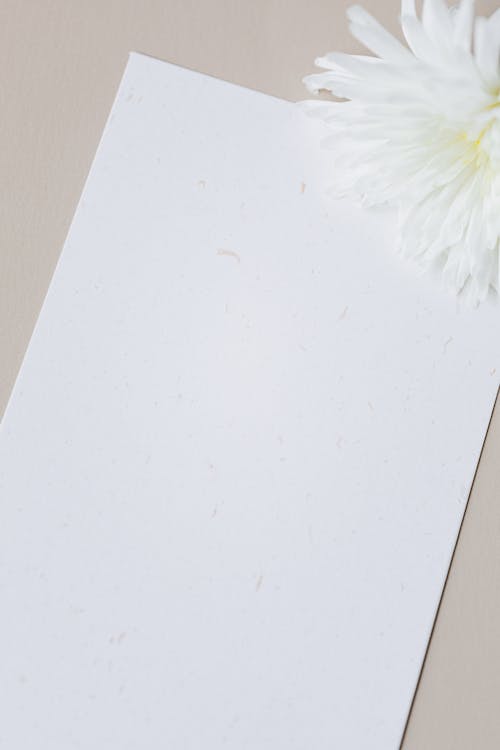 A Close-Up Shot of a Sheet of Paper