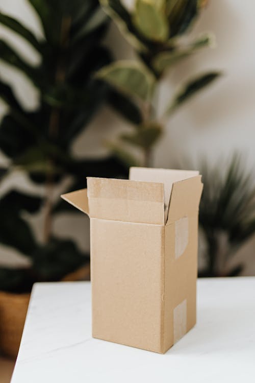 Free Cardboard box on table in room with plants Stock Photo