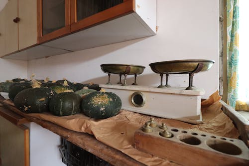 Free Immagine gratuita di zucca Stock Photo