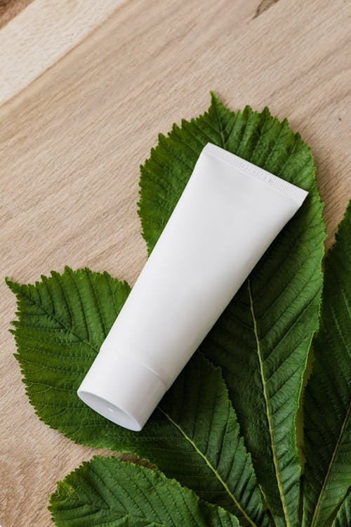 Blank cosmetic tube on fresh chestnut leaf