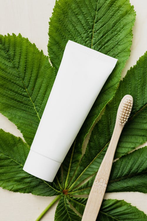 White toothpaste tube and wooden toothbrush on big green leaf