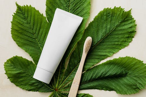 Top view of white mockup tube of natural toothpaste and eco friendly bamboo toothbrush placed flat on big green chestnut leaf on light wooden surface