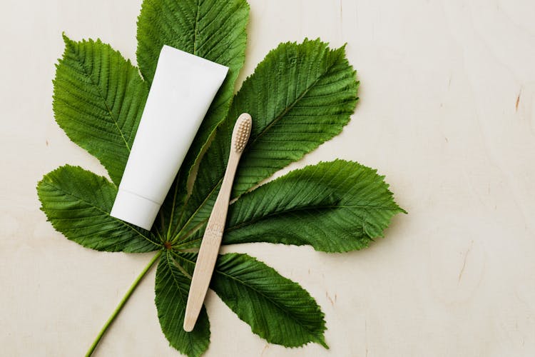 Organic Toothpaste Tube And Bamboo Toothbrush On Fresh Green Leaf