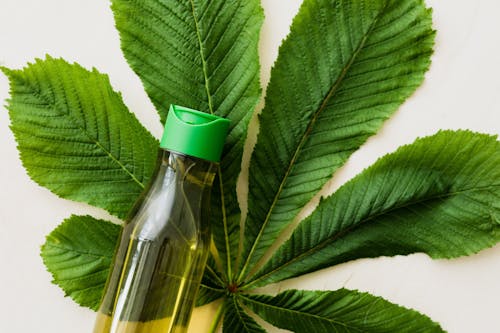 Free Bottle of beauty oil and big green leaf Stock Photo