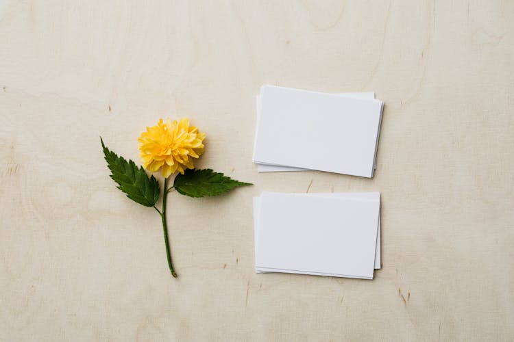 Blank Mockup Business Cards And Yellow Flower On Desk