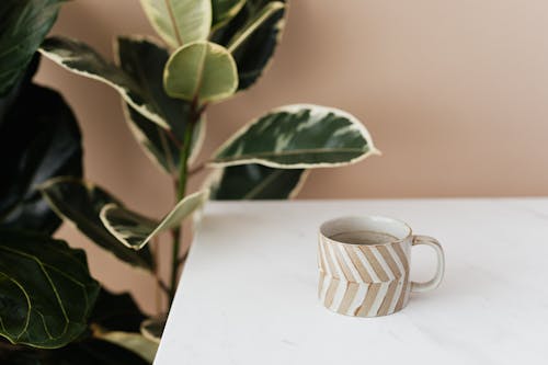 Brown and white striped ceramic cup of coffee placed on white marble table near big green ficus plant