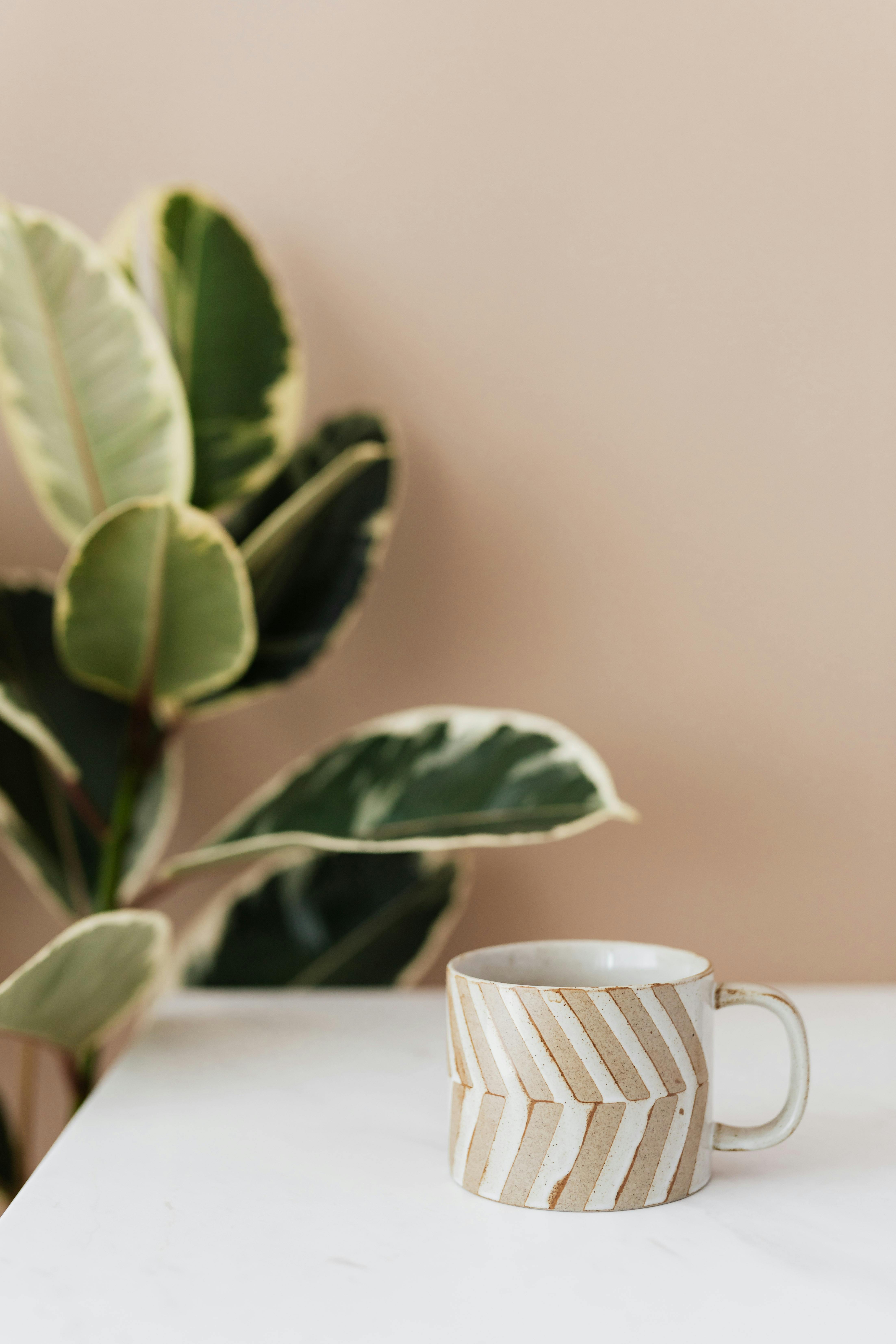 ceramic coffee cup on table next to ficus plant