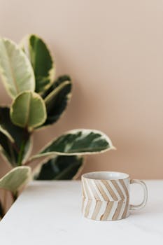 Ceramic coffee cup on table next to ficus plant