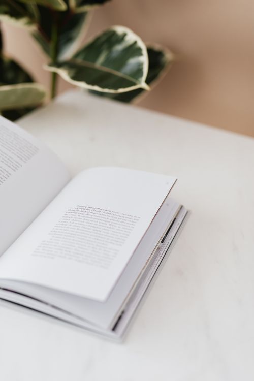 Free Hardcover novel opened at new chapter on white marble table with blurry green ficus in background Stock Photo