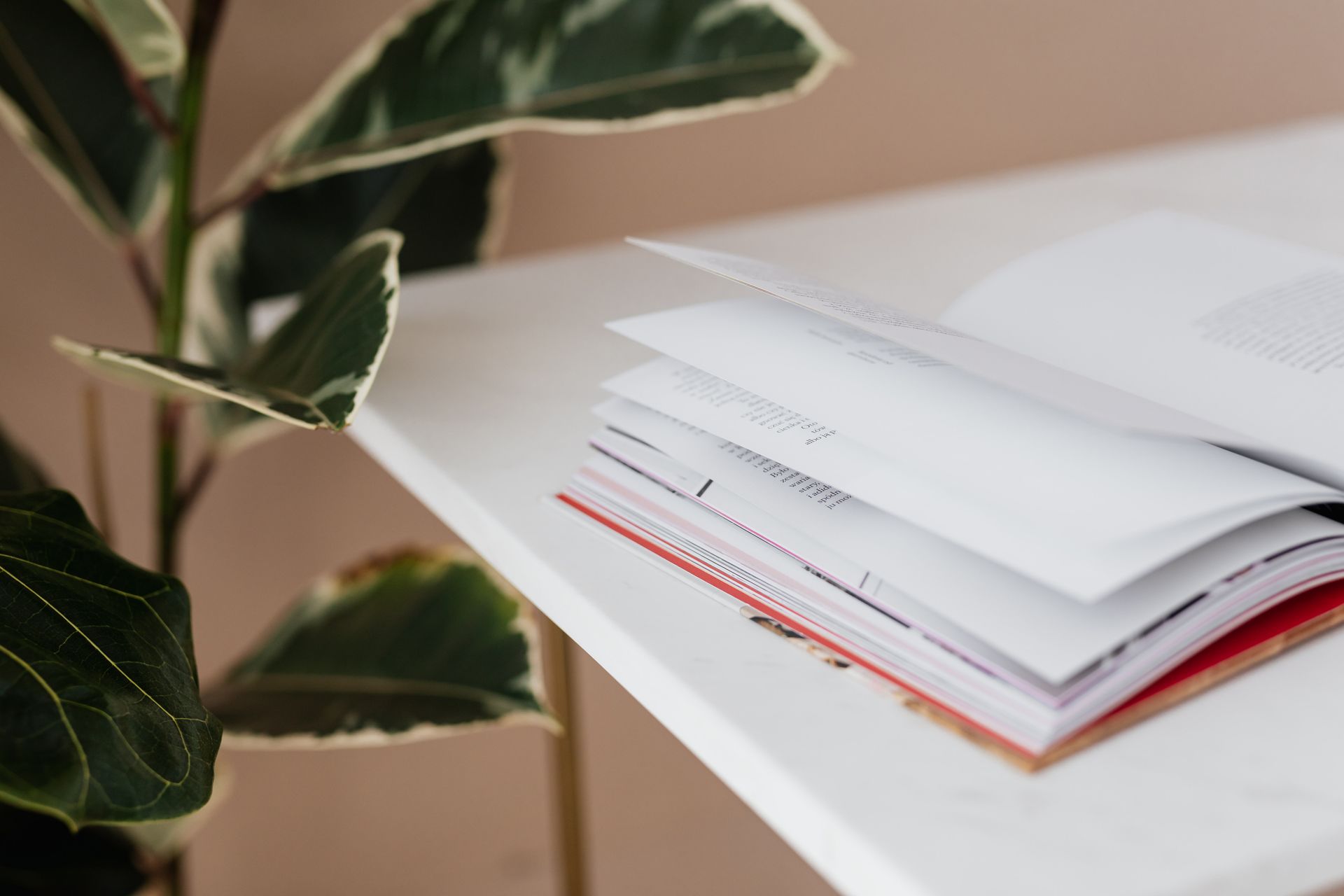 Book that has been left open on white table near big green ficus plant