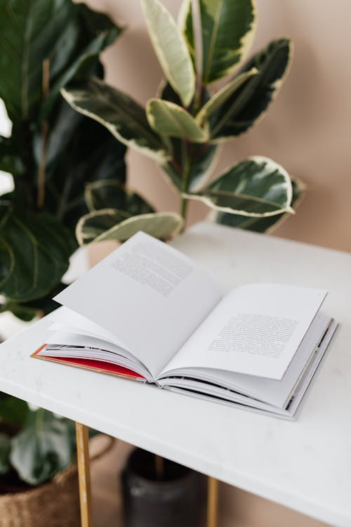 Free Open book on table in modern library Stock Photo